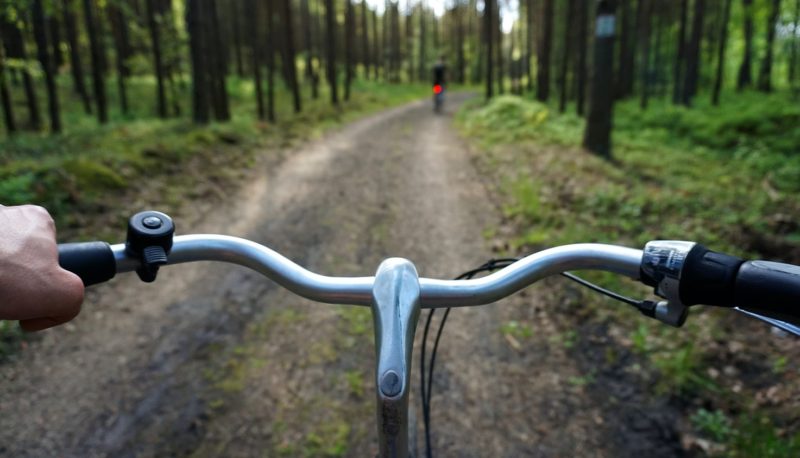 bike trail in the woods